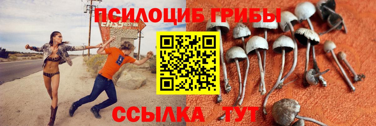 Псилоцибиновые грибы прущие грибы  Псилоцибиновые грибы мицелий  Вход с VPN  Пыть-Ях 